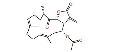 Lobophyolide B